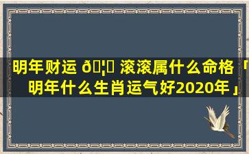 明年财运 🦆 滚滚属什么命格「明年什么生肖运气好2020年」